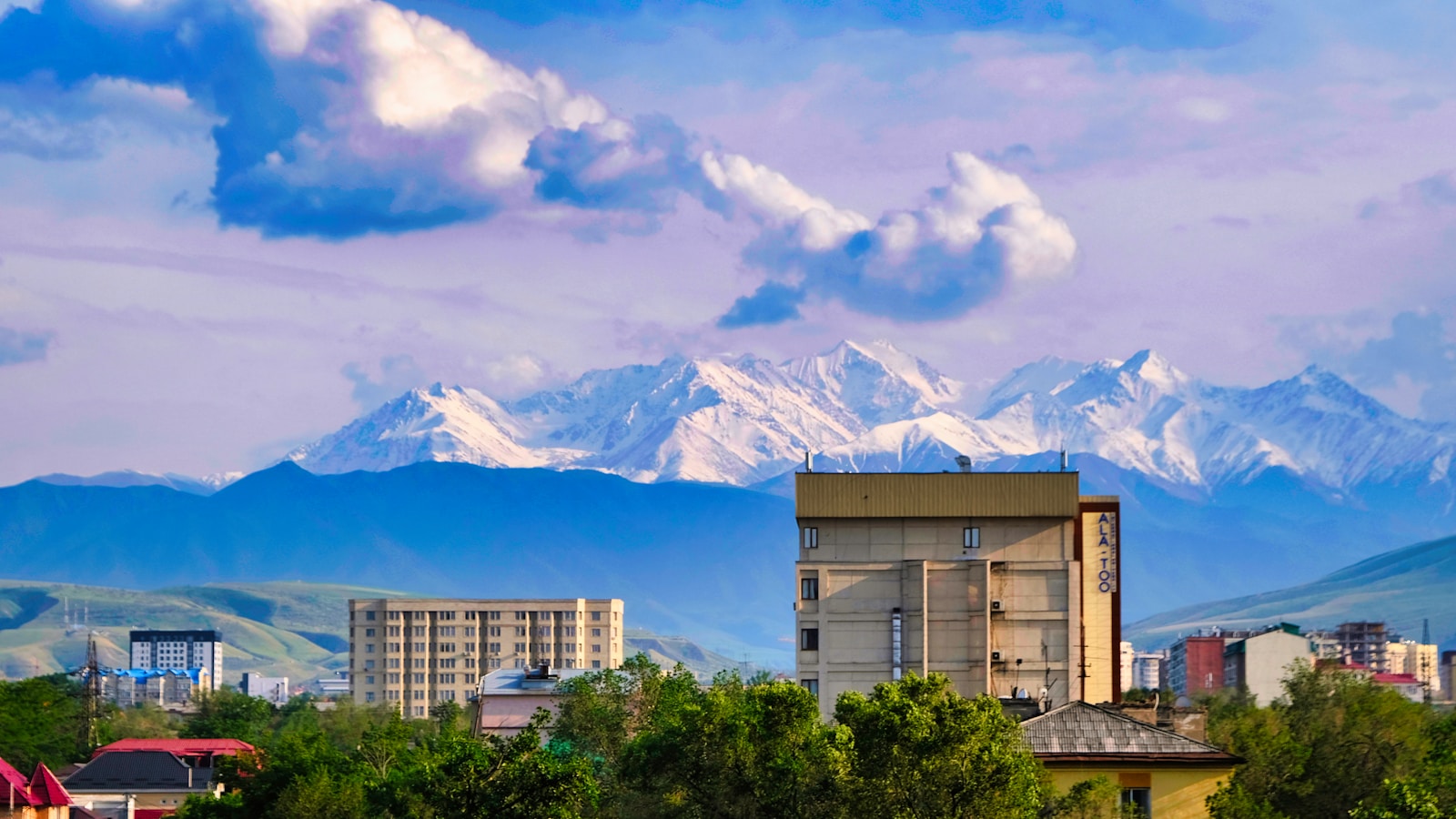 a view of a city with mountains in the background
