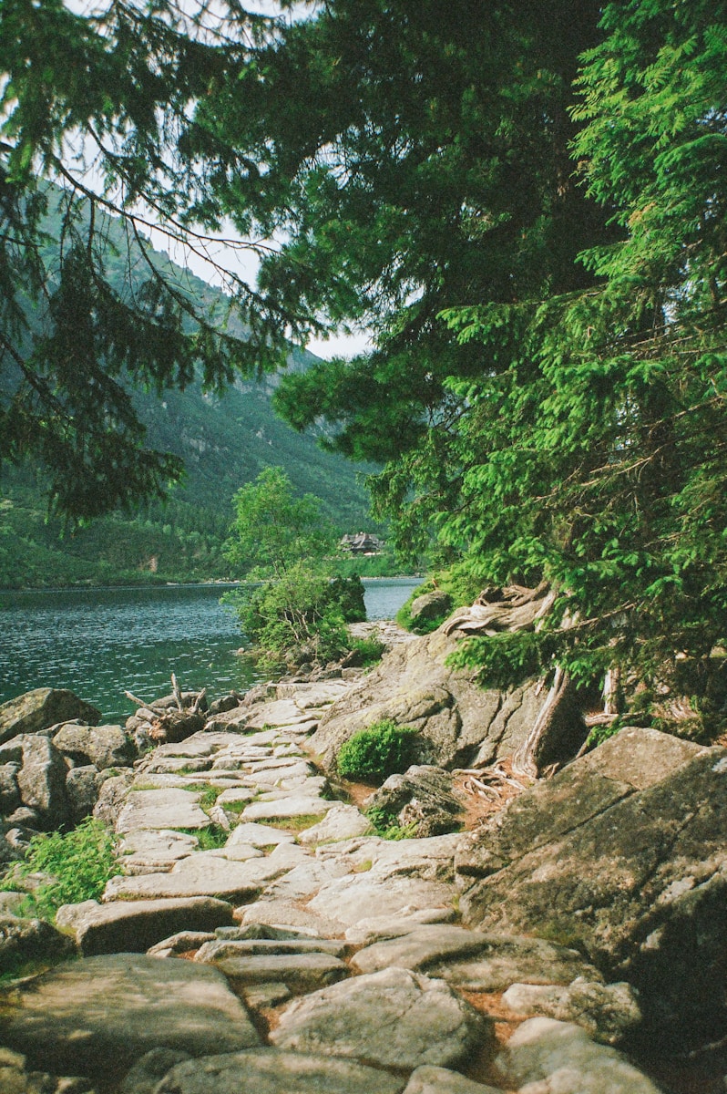 a stone path that is next to a body of water