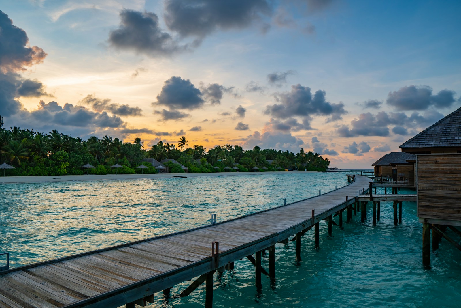 brown wooden dock on body of water during daytime