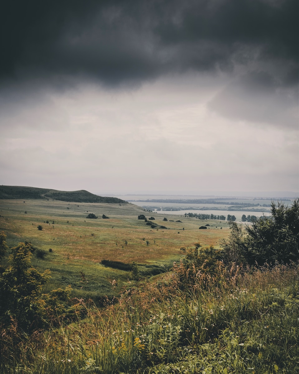 landscape photography of green grass field